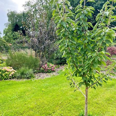 נוירופין Ferienwohnung Kamrath Mit Wunderschoenem Ausblick מראה חיצוני תמונה