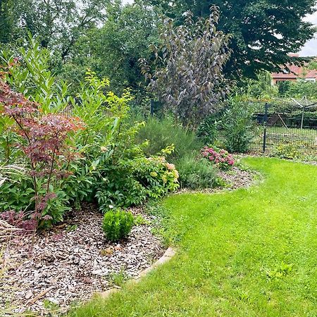 נוירופין Ferienwohnung Kamrath Mit Wunderschoenem Ausblick מראה חיצוני תמונה