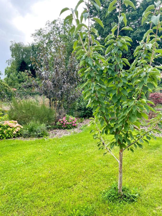 נוירופין Ferienwohnung Kamrath Mit Wunderschoenem Ausblick מראה חיצוני תמונה